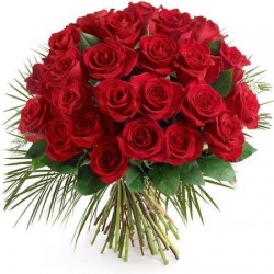 12 Rosas Rojas