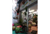 El Jardin